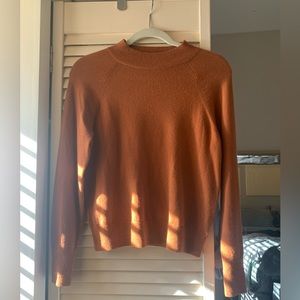 Everlane Cashmere Mockneck Sweater